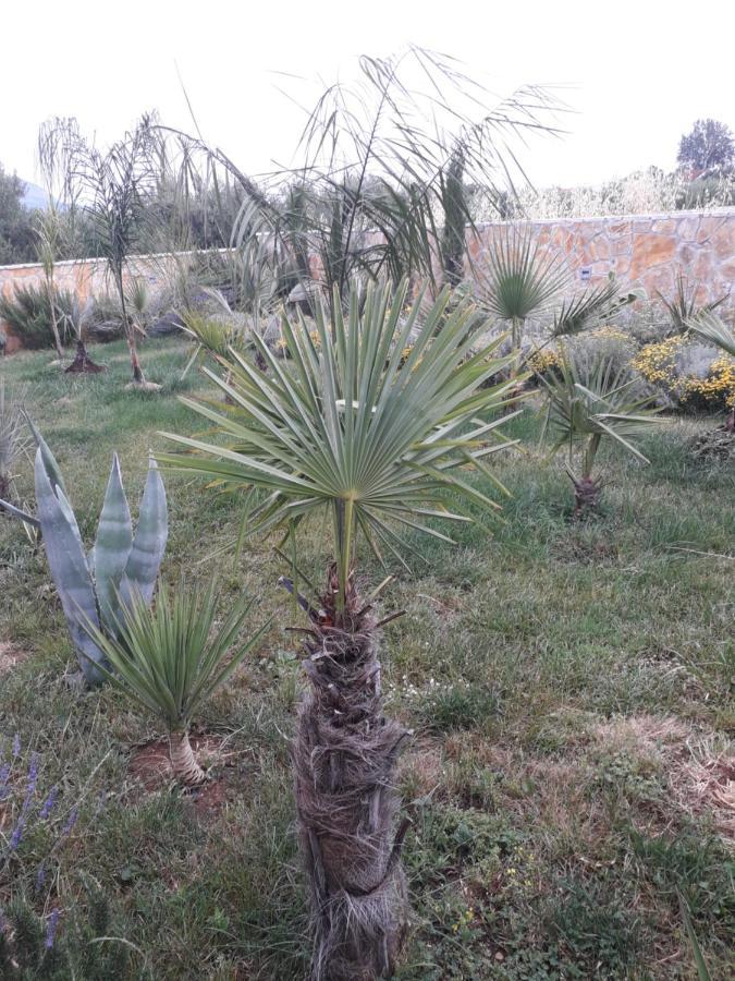 Palm Paradise Stobreč Esterno foto